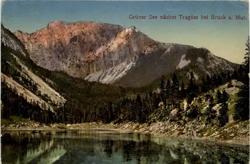 Tragöss-Oberort/Steiermark und Umgebung - Grüner See -325550