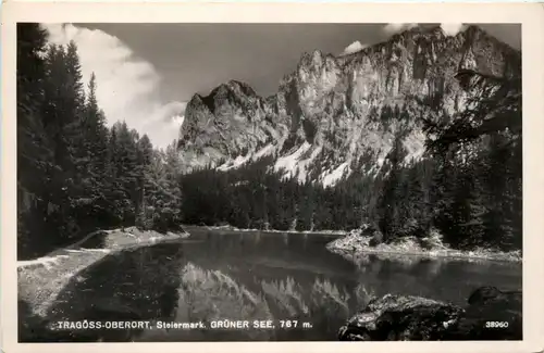 Tragöss-Oberort/Steiermark und Umgebung - Grüner See -325606