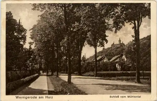 Wernigerode am Harz - Schloss vom Mühlental -280902