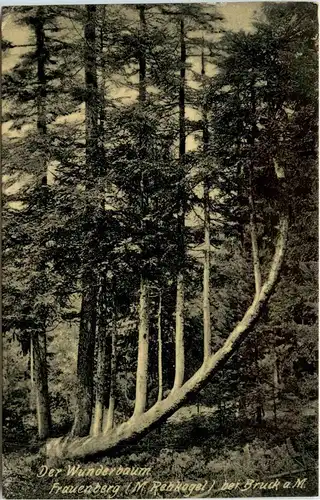 Bruck a.d. Mur/Steiermark - Der Wanderbaum - Frauenberg-Regkogel -326466