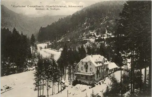 Oberbühlertal - Kurhotel Gertelbach -292672