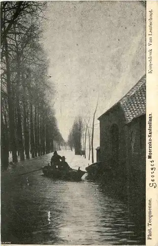 Moerzeke - Kasteellaan -292608