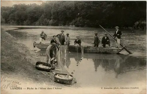 Landes - Peche de l Alose dans l Adour -221126
