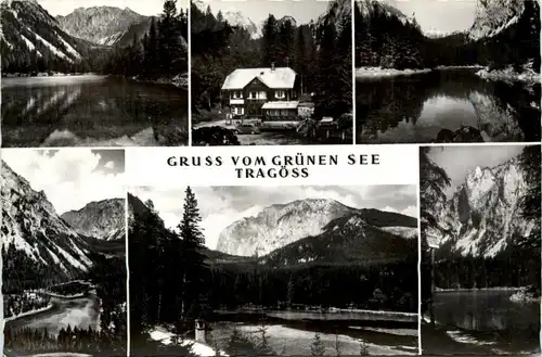 Tragöss-Oberort/Steiermark und Umgebung - Grüner See div.Bilder -326736