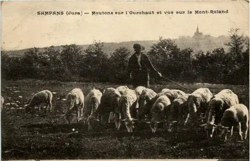 Sampans - Moutons sur l Ourehaut -221188
