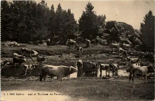 Saleve - Lac et Rochers de Faverges -221422