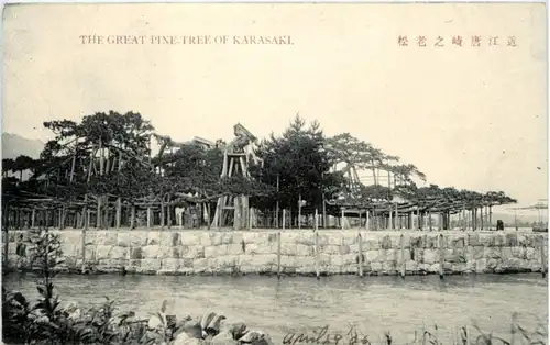 The great One Tree of Kakasaki -221634