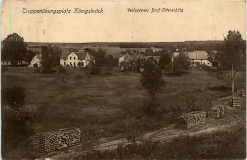 Truppenübungsplatz Königsbrück - Verlassenes Dorf Otterschütz -221844