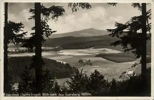 Eibenstock - Blick nach Auersberg -292922