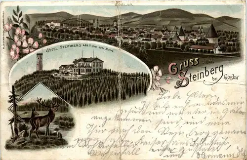 Gruss aus Steinberg bei Goslar - Litho 1896 -222376