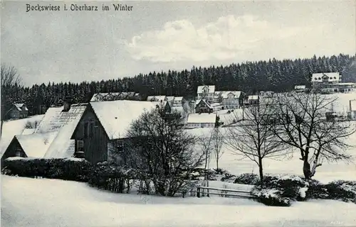 Bockswiese im Oberharz im Winter -294038