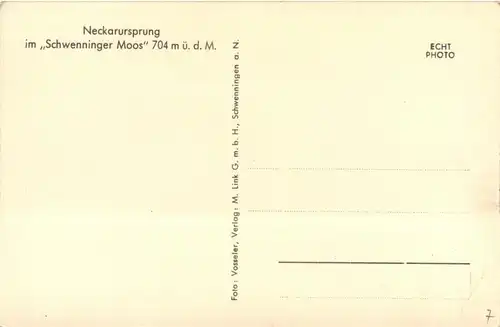 Schwenningen - Neckarursprung -294186