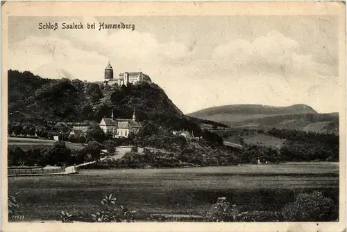 Schloss Saaleck bei Hammelburg -294204