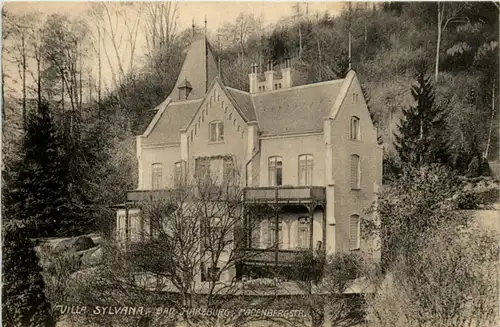 Bad Harzburg - Villa Sylvana -223806