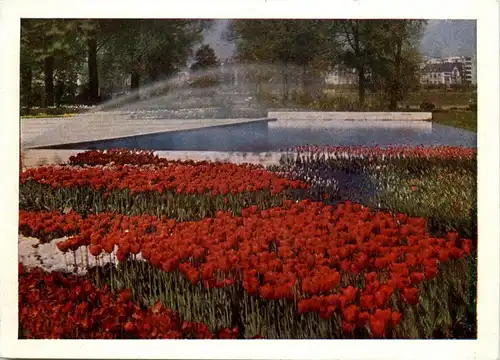 Bundesgartenschau 1957 Köln -295422