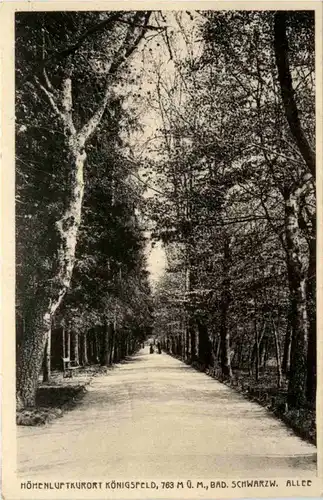 Königsfeld - Allee -224048