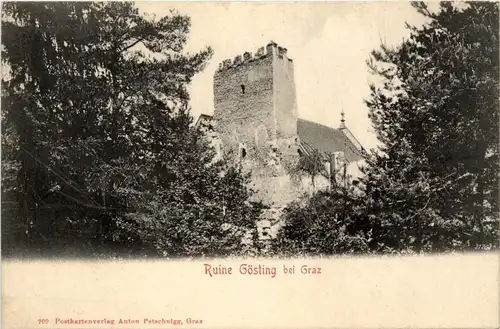 Ruine Gösting Graz -295674