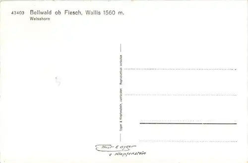 Bellwald ob Fiesch -294462