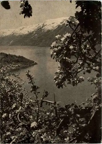 Hardanger - Uliensvang -294754