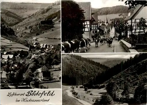 Bödefeld im Hochsauerland -295460