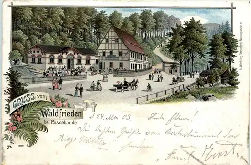 Gruss vom Waldfrieden bei Cossebaude - Litho -226238