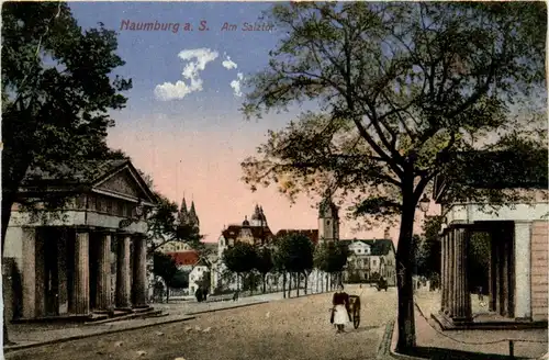 Naumburg - Salztor -297892