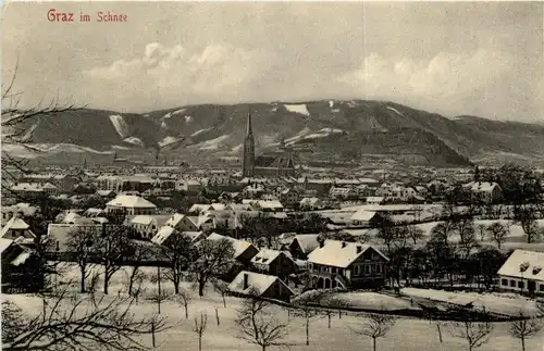 Graz im Schnee -295910