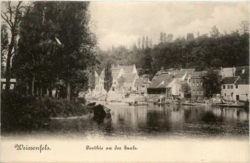 Weissenfels - Partie an der Saale -297262