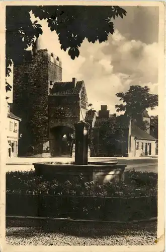 Naumburg - Brunnen am Marientor -297912