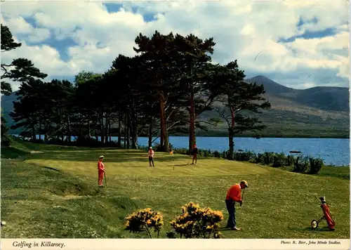 Golfing in Killarney -297942