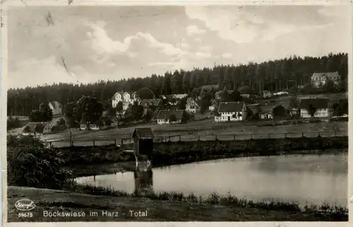 Bockswiese im Harz -298682