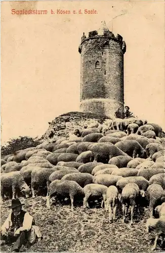 Saaleckturm bei Bad Kösen -297702