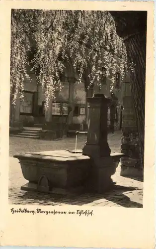 Heidelberg - Morgensonne im Schlosshof -298588