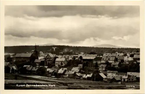 Benneckenstein Harz -298834