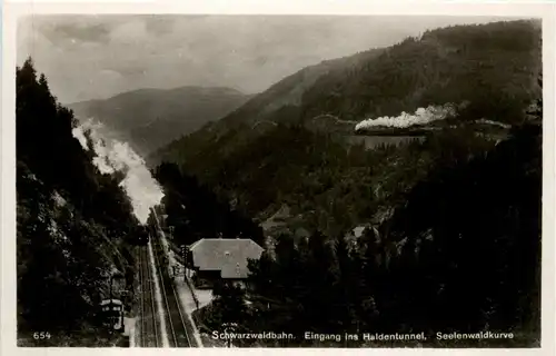Schwarzwaldbahn - Eingang ins Haldentunnel -298406