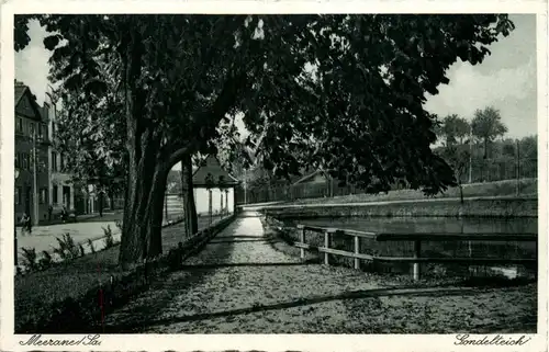 Meerane - Gondelteich -227794