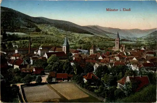 Münster im Elsass -298444