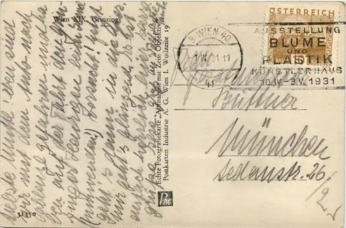 Wien XIX Grinzing -299260