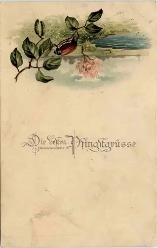 Pfingsten - Maikäfer -298560