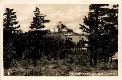 Der Mückenberg -298970