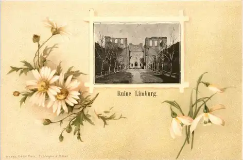 Ruine Limburg - Litho -299376