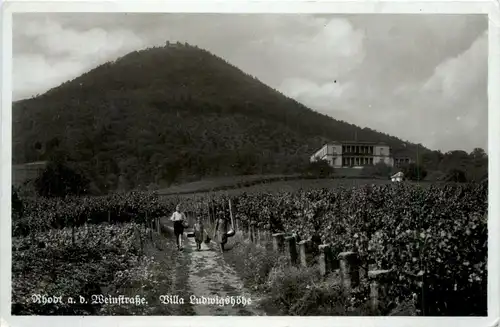 Rhodt an der Weinstrasse - Villa Ludwigshöhe -299774