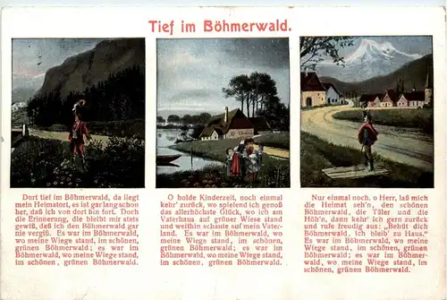 Tief im Böhmerwald -299022