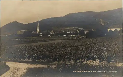 Oberhambach bei Neustadt Haardt -400158