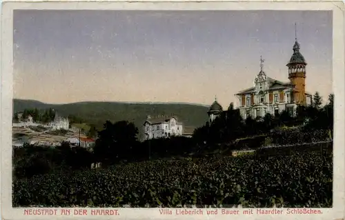 Neustadt Haardt - Villa Lieberich und Bauer -400016