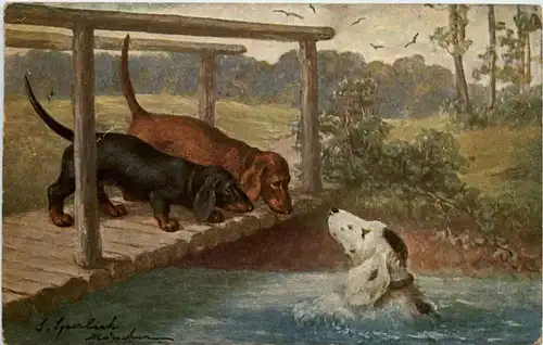 Hunde - Dackel -401194