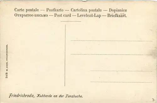 Friedrichroda - Kuhherde an der Tanzbuche -401552