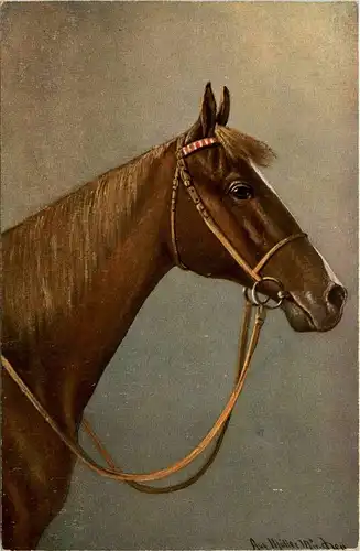 Pferd - horse -402082
