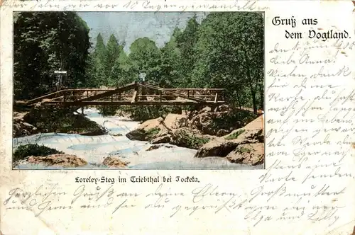 Loreley Steg im Triebthal bei Jocketa -401502