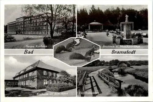 Bad Bramstedt -401254